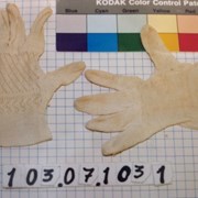 Cover image of  Glove
